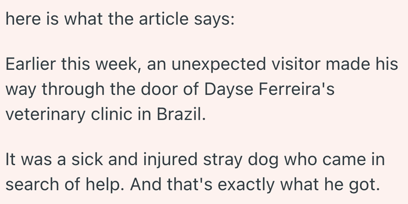 here is what the article says: Earlier this week, an unexpected visitor made his way through the door of Dayse Ferreira's veterinary clinic in Brazil. It was a sick and injured stray dog who came in search of help. And that's exactly what he got.