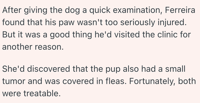 After giving the dog a quick examination, Ferreira found that his paw wasn't too seriously injured. But it was a good thing he'd visited the clinic for another reason. She'd discovered that the pup also had a small tumor and was covered in fleas. Fortunately, both were treatable.