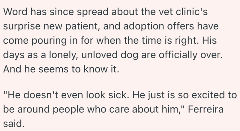 Word has since spread about the vet clinic's surprise new patient, and adoption offers have come pouring in for when the time is right. His days as a lonely, unloved dog are officially over. And he seems to know it. "He doesn't even look sick. He just is so excited to be around people who care about him," Ferreira said.