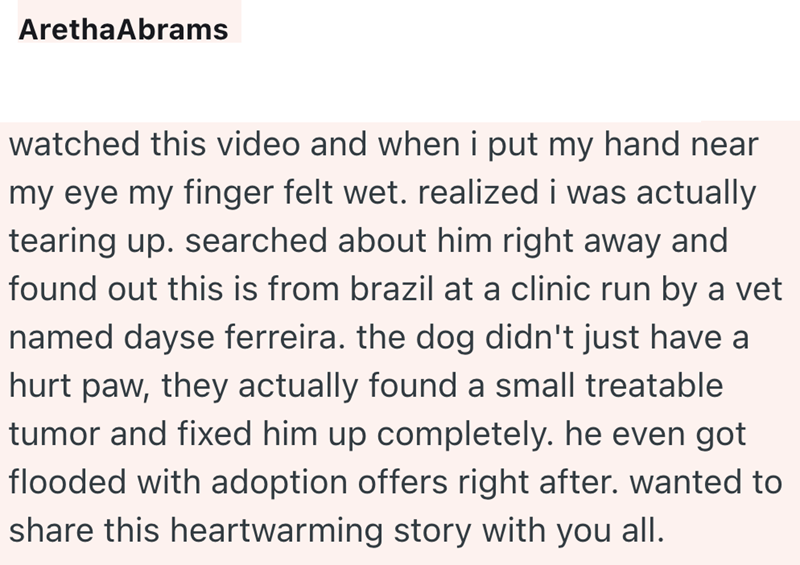 Aretha Abrams watched this video and when i put my hand near my eye my finger felt wet. realized i was actually tearing up. searched about him right away and found out this is from brazil at a clinic run by a vet named dayse ferreira. the dog didn't just have a hurt paw, they actually found a small treatable tumor and fixed him up completely. he even got flooded with adoption offers right after. wanted to share this heartwarming story with you all.