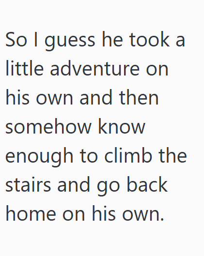 So I guess he took a little adventure on his own and then somehow know enough to climb the stairs and go back home on his own.