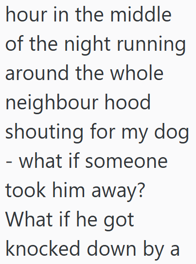hour in the middle of the night running around the whole neighbour hood shouting for my dog - what if someone took him away? What if he got knocked down by a