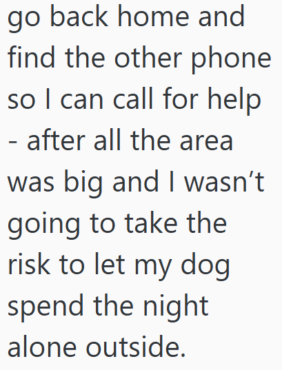 go back home and find the other phone so I can call for help - after all the area was big and I wasn't going to take the risk to let my dog spend the night alone outside.