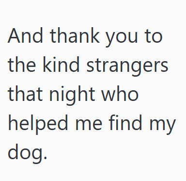And thank you to the kind strangers that night who helped me find my dog.