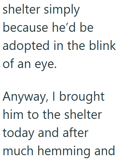 shelter simply because he'd be adopted in the blink of an eye. Anyway, I brought him to the shelter today and after much hemming and