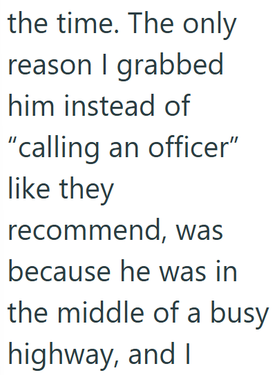 the time. The only reason I grabbed him instead of "calling an officer" like they recommend, was because he was in the middle of a busy highway, and I