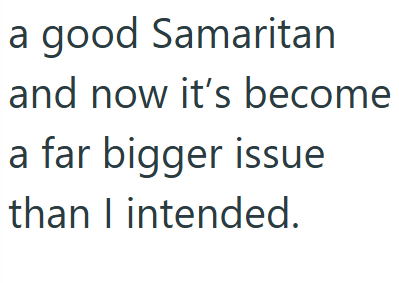 a good Samaritan and now it's become a far bigger issue than I intended.