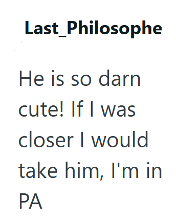 Last Philosophe He is so darn cute! If I was closer I would take him, I'm in PA