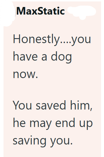 MaxStatic Honestly....you have a dog now. You saved him, he may end up saving you.
