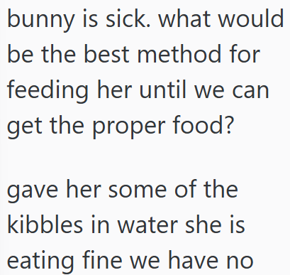 bunny is sick. what would be the best method for feeding her until we can get the proper food? gave her some of the kibbles in water she is eating fine we have no