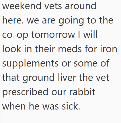 weekend vets around here. we are going to the co-op tomorrow I will look in their meds for iron supplements or some of that ground liver the vet prescribed our rabbit when he was sick.