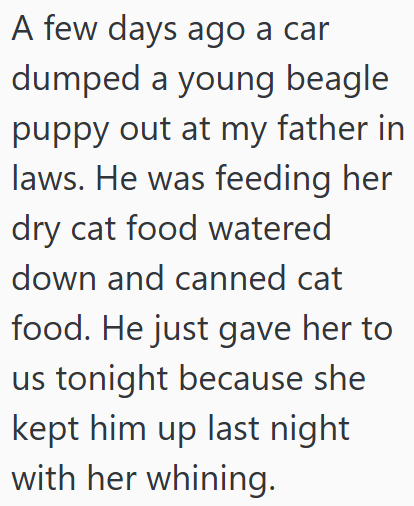 A few days ago a car dumped a young beagle puppy out at my father in laws. He was feeding her dry cat food watered down and canned cat food. He just gave her to us tonight because she kept him up last night with her whining.