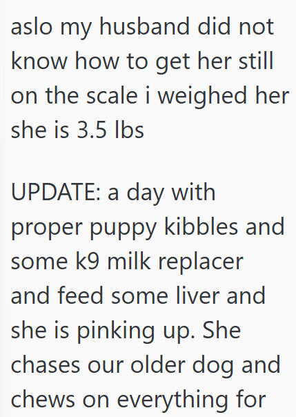 aslo my husband did not know how to get her still on the scale i weighed her she is 3.5 lbs UPDATE: a day with proper puppy kibbles and some k9 milk replacer and feed some liver and she is pinking up. She chases our older dog and chews on everything for