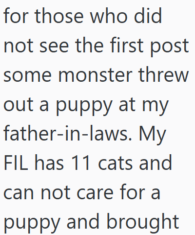for those who did not see the first post some monster threw out a puppy at my father-in-laws. My FIL has 11 cats and can not care for a puppy and brought