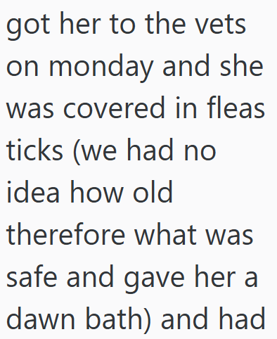 got her to the vets on monday and she was covered in fleas ticks (we had no idea how old therefore what was safe and gave her a dawn bath) and had