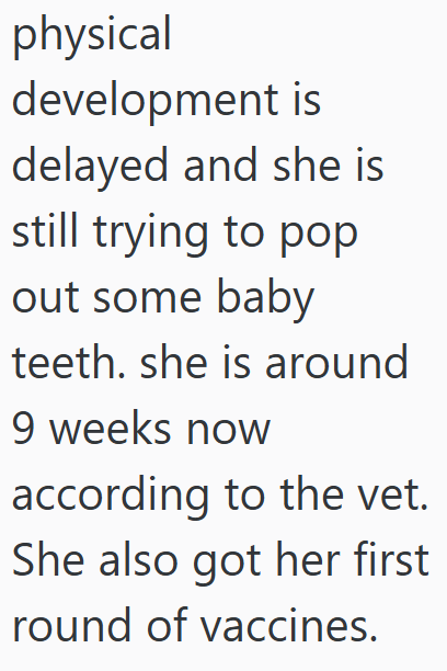 physical development is delayed and she is still trying to pop out some baby teeth. she is around 9 weeks now according to the vet. She also got her first round of vaccines.