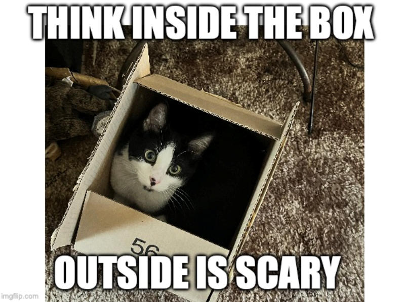 THINK INSIDE THE BOX imgflip.com 56 OUTSIDE IS SCARY