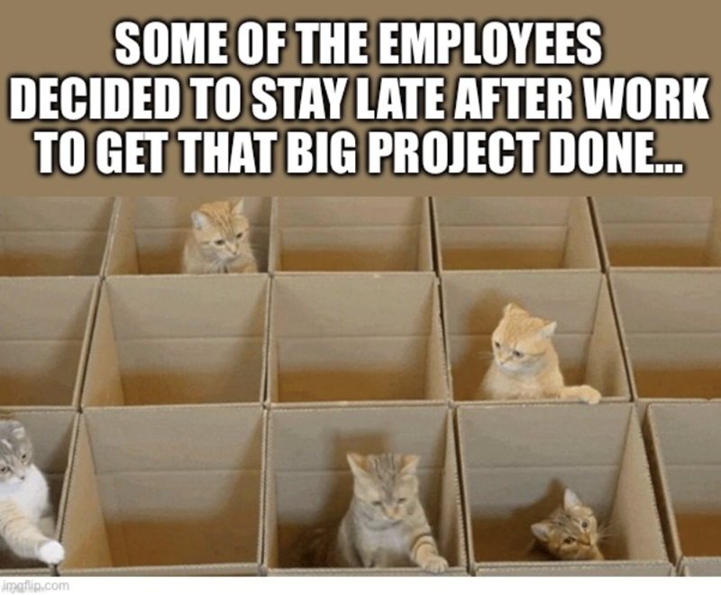SOME OF THE EMPLOYEES DECIDED TO STAY LATE AFTER WORK TO GET THAT BIG PROJECT DONE... imgflip.com
