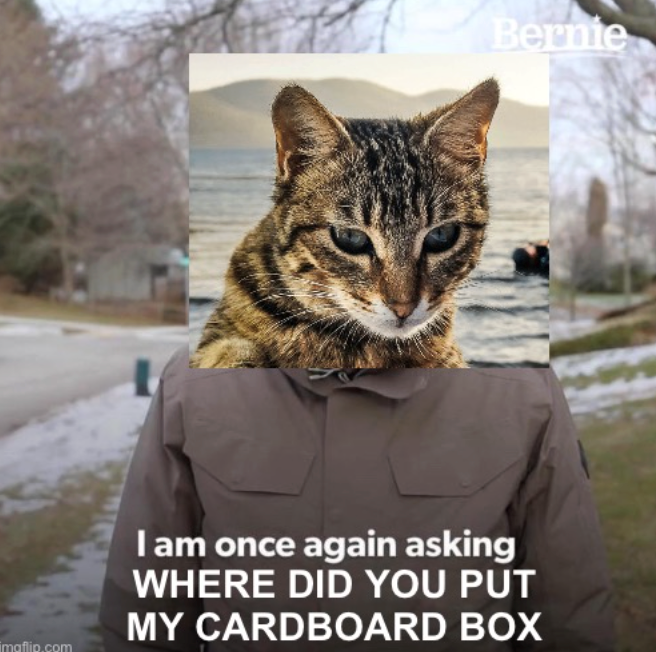 Bernie imgflip.com I am once again asking WHERE DID YOU PUT MY CARDBOARD BOX