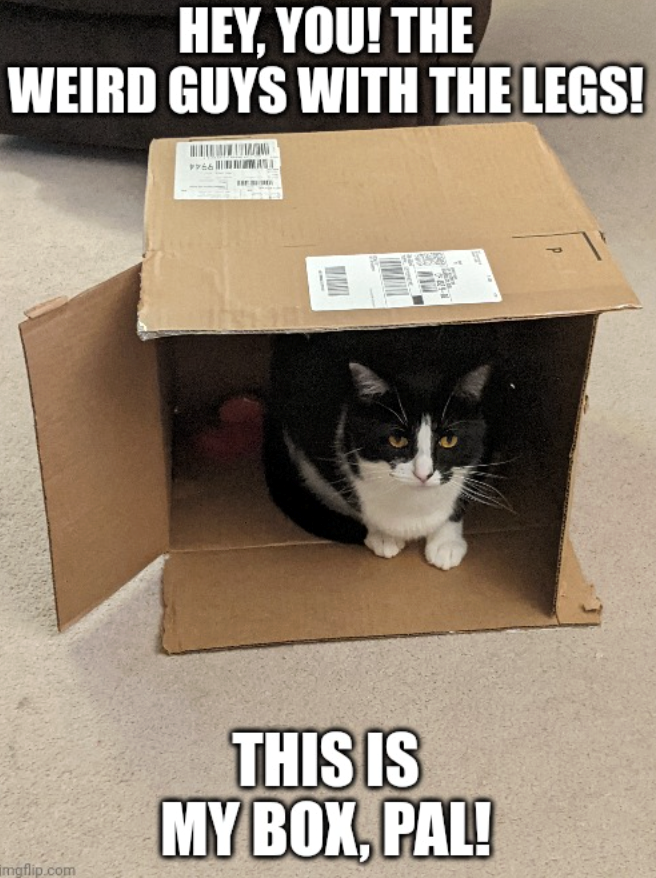imgflip.com HEY, YOU! THE WEIRD GUYS WITH THE LEGS! THIS IS MY BOX, PAL! P יך