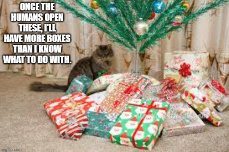 ONCE THE HUMANS OPEN THESE, I'LL HAVE MORE BOXES THAN I KNOW WHAT TO DO WITH. imgflip.com
