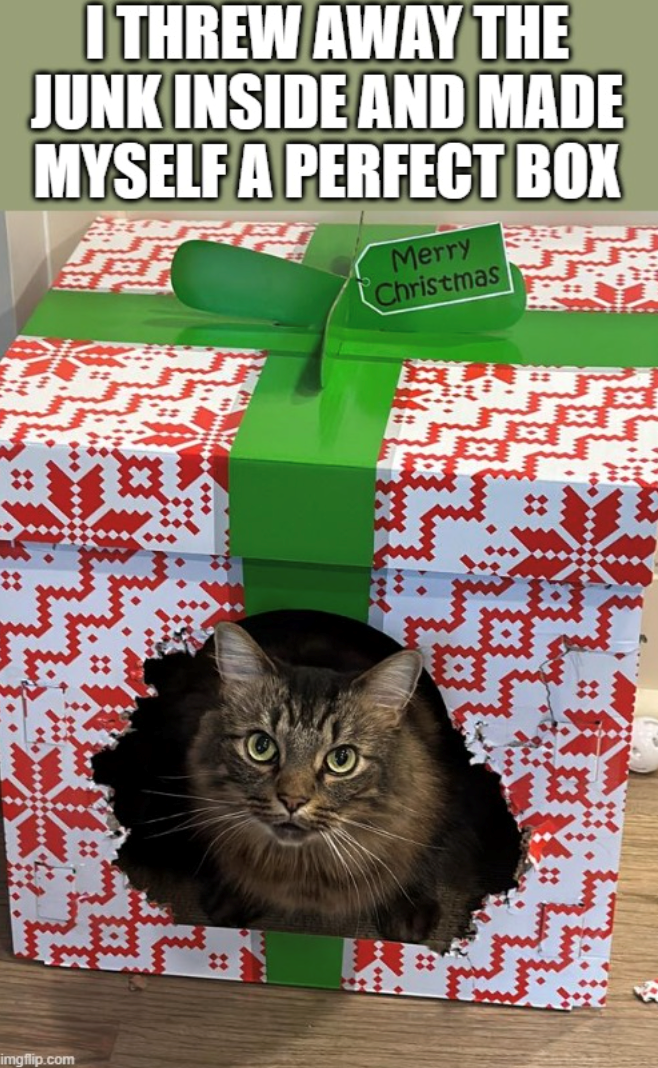 I THREW AWAY THE JUNK INSIDE AND MADE MYSELF A PERFECT BOX imgflip.com SCE Merry Christmas