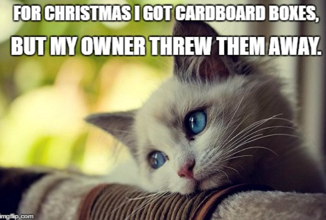 FOR CHRISTMAS I GOT CARDBOARD BOXES, BUT MY OWNER THREW THEM AWAY. imgflip.com
