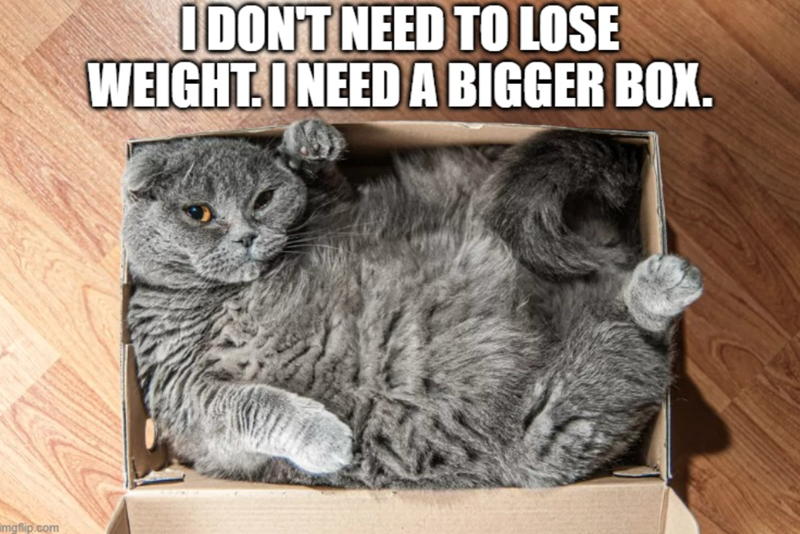 imgflip.com I DON'T NEED TO LOSE WEIGHT. I NEED A BIGGER BOX.