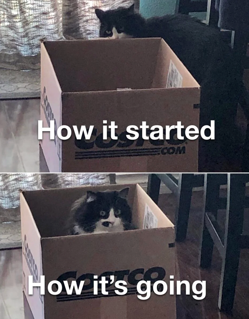 How it started COM How it's going