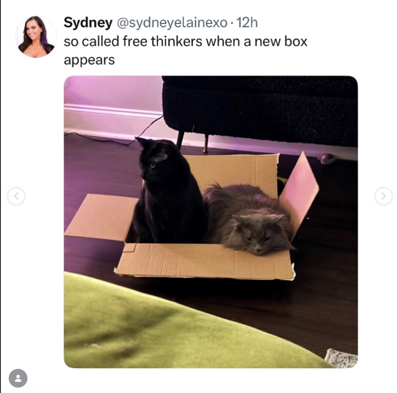 < Sydney @sydneyelainexo. 12h so called free thinkers when a new box appears >