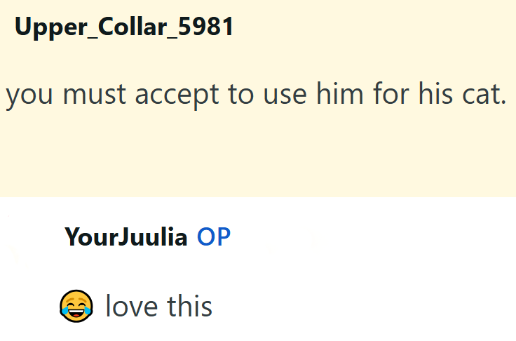 Upper_Collar_5981 you must accept to use him for his cat. YourJuulia OP love this