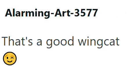 Alarming-Art-3577 That's a good wingcat