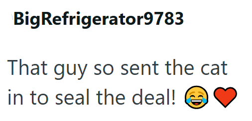 BigRefrigerator9783 That guy so sent the cat in to seal the deal! (C)