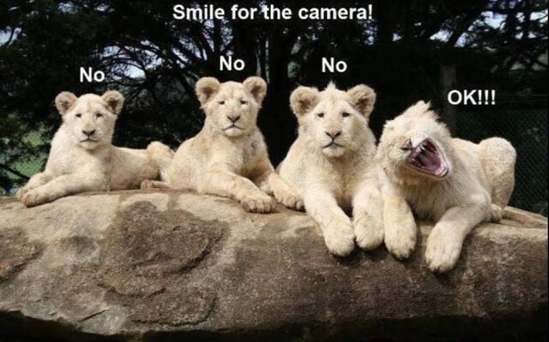 No Smile for the camera! No No OK!!!