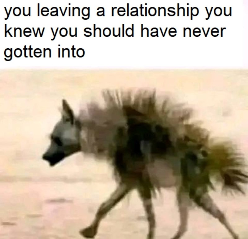 you leaving a relationship you knew you should have never gotten into