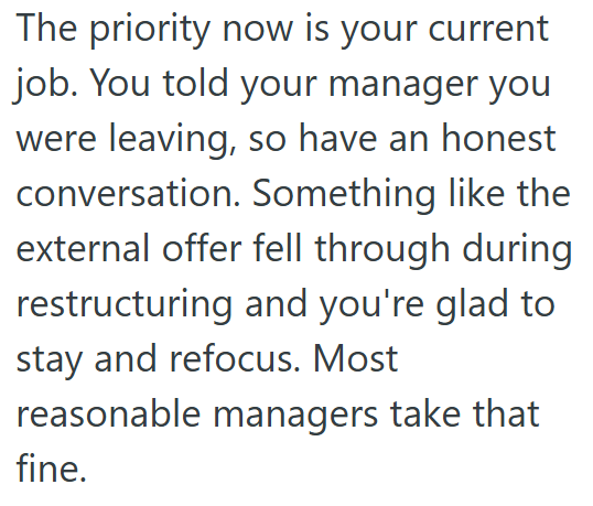 The priority now is your current job. You told your manager you were leaving, so have an honest conversation. Something like the external offer fell through during restructuring and you're glad to stay and refocus. Most reasonable managers take that fine.