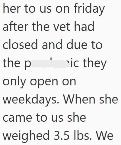 her to us on friday after the vet had closed and due to the pic they only open on weekdays. When she came to us she weighed 3.5 lbs. We