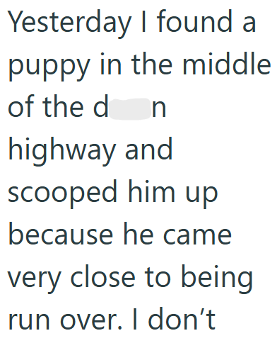 Yesterday I found a puppy in the middle of the d n highway and scooped him up because he came very close to being run over. I don't