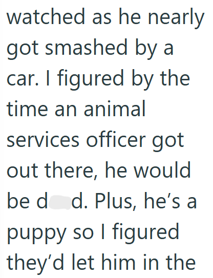 watched as he nearly got smashed by a car. I figured by the time an animal services officer got out there, he would be dad. Plus, he's a puppy so I figured they'd let him in the