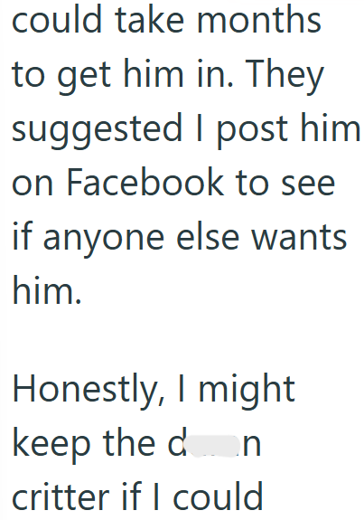could take months to get him in. They suggested I post him on Facebook to see if anyone else wants him. Honestly, I might keep the don critter if I could