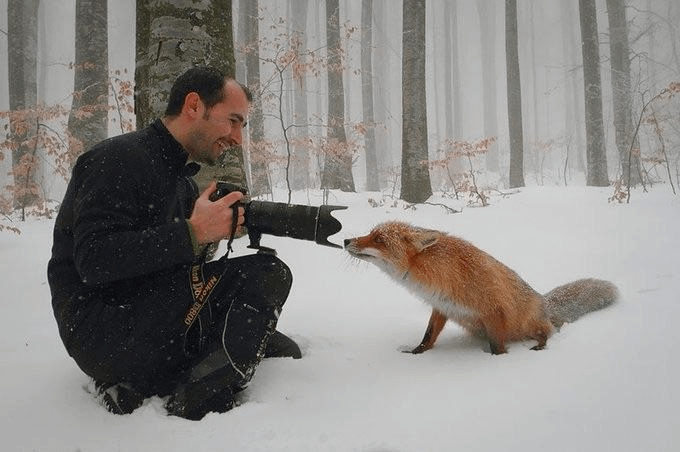 Nikon 5800