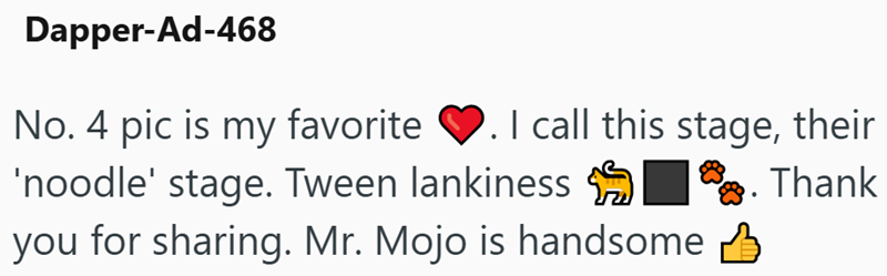 Dapper-Ad-468 No. 4 pic is my favorite ❤. I call this stage, their 'noodle' stage. Tween lankiness you for sharing. Mr. Mojo is handsome ✓ Thank