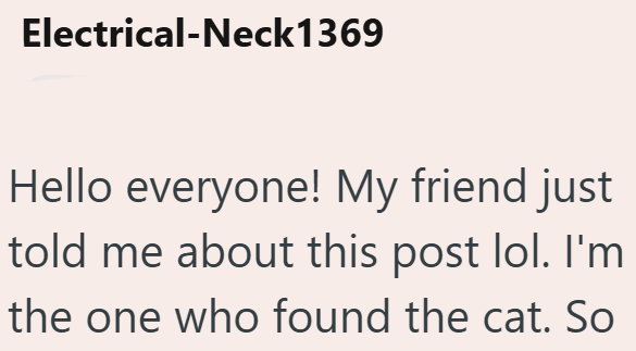 Electrical-Neck1369 Hello everyone! My friend just told me about this post lol. I'm the one who found the cat. So