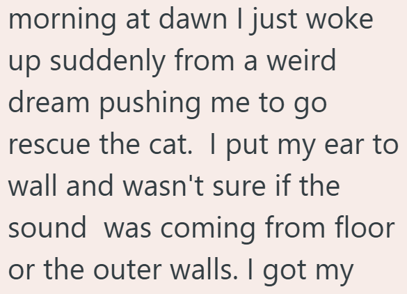 morning at dawn I just woke up suddenly from a weird dream pushing me to go rescue the cat. I put my ear to wall and wasn't sure if the sound was coming from floor or the outer walls. I got my