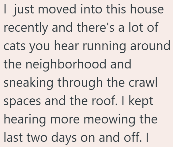 I just moved into this house recently and there's a lot of cats you hear running around the neighborhood and sneaking through the crawl spaces and the roof. I kept hearing more meowing the last two days on and off. I