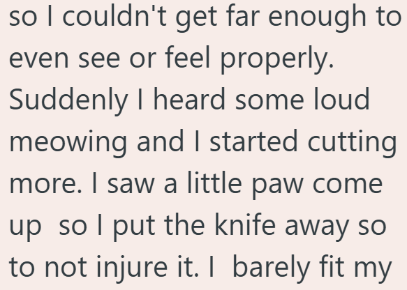 so I couldn't get far enough to even see or feel properly. Suddenly I heard some loud meowing and I started cutting more. I saw a little paw come up so I put the knife away so to not injure it. I barely fit my