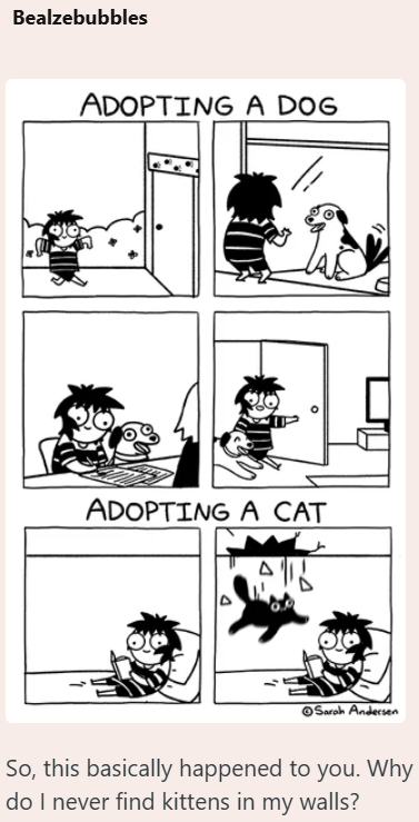 Bealzebubbles ADOPTING A DOG ADOPTING A CAT Sarah Andersen So, this basically happened to you. Why do I never find kittens in my walls?