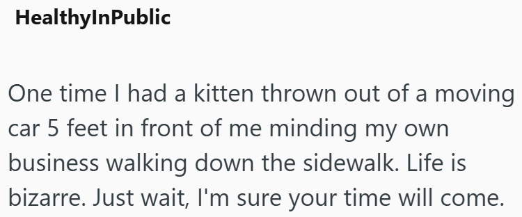 HealthyInPublic One time I had a kitten thrown out of a moving car 5 feet in front of me minding my own business walking down the sidewalk. Life is bizarre. Just wait, I'm sure your time will come.