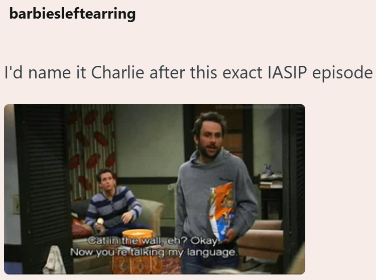 barbiesleftearring I'd name it Charlie after this exact IASIP episode Cat in the wall, eh? Okay Now you're talking my language.