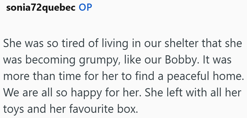 sonia72quebec OP She was so tired of living in our shelter that she was becoming grumpy, like our Bobby. It was more than time for her to find a peaceful home. We are all so happy for her. She left with all her toys and her favourite box.